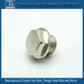 Nickle Plated Big Flange Head Bolt